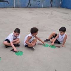 2025-pre1-instituto-pioxi-ramos-2