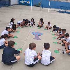 2025-pre1-instituto-pioxi-ramos-4