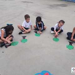 2025-pre1-instituto-pioxi-ramos-5