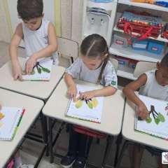 2025-pre1-instituto-pioxi-1
