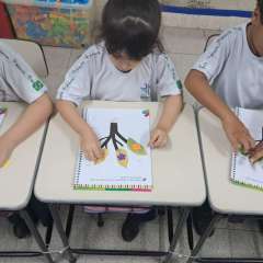 2025-pre1-instituto-pioxi-3