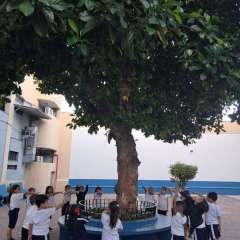 2025-pre1-instituto-pioxi-5