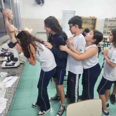 2025-laboratorio-instituto-pioxi-ramos-2