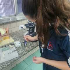 2025-laboratorio-instituto-pioxi-ramos-6