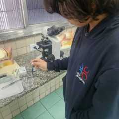 2025-laboratorio-instituto-pioxi-ramos-8