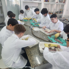 2025-7ano-ciencias-instituto-pioxi-ramos-12