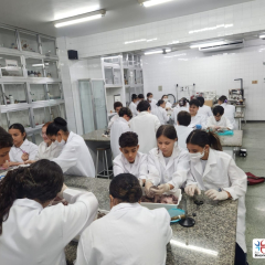 2025-7ano-ciencias-instituto-pioxi-ramos-4