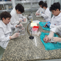 2025-7ano-ciencias-instituto-pioxi-ramos-5