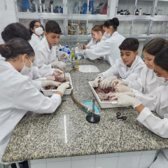 2025-7ano-ciencias-instituto-pioxi-ramos-6