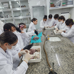 2025-7ano-ciencias-instituto-pioxi-ramos-7