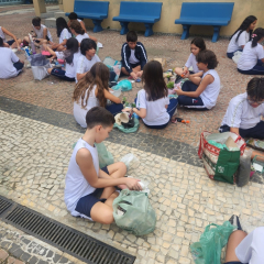 2025-terrario-6ano-instituto-pioxi-10