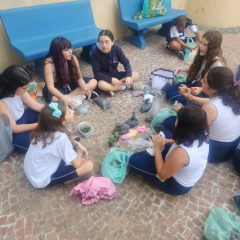 2025-terrario-6ano-instituto-pioxi-3