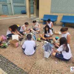 2025-terrario-6ano-instituto-pioxi-8