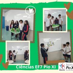 2023-biomas-ef7-pioxi-1