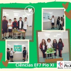 2023-biomas-ef7-pioxi-2