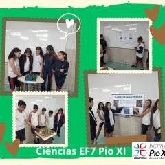 2023-biomas-ef7-pioxi-3