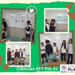2023-biomas-ef7-pioxi-4