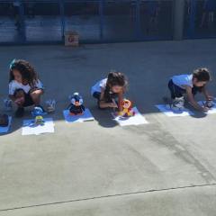 2024-sombra-maternal-pioxi-2