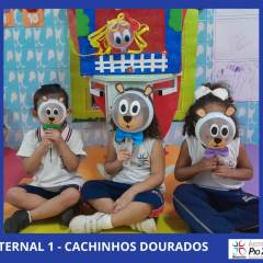 2023-contacao-hist-mat1-pioxi-1