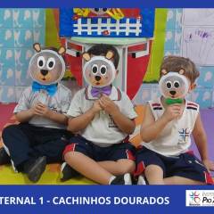 2023-contacao-hist-mat1-pioxi-2