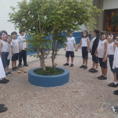 2024-primavera-ef1-pioxi-1