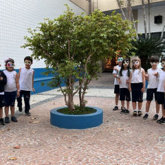 2024-primavera-ef1-pioxi-7