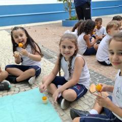 2025-pre2-outono-instituto-piox-i-6