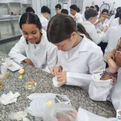 2025-7ano-instituto-pioxi-ramos-5