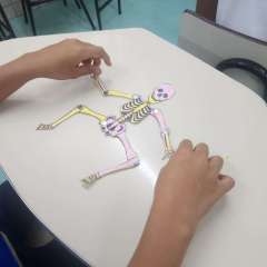 2026-6ano-instituto-pioxi-ramos-rj-7-1