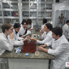 2024-laboratorio-ef8-pioxi-1
