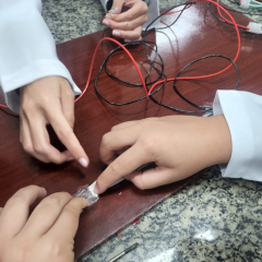 2024-laboratorio-ef8-pioxi-12