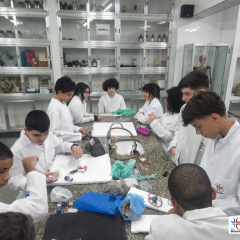 2024-laboratorio-ef8-pioxi-13