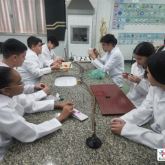 2024-laboratorio-ef8-pioxi-5