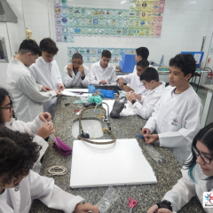 2024-laboratorio-ef8-pioxi-7