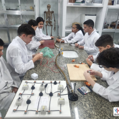 2024-laboratorio-ef8-pioxi-8