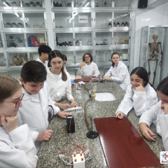 2024-laboratorio-ef8-pioxi-9