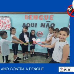 2024-dengue-1ano-pioxi-1