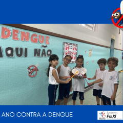 2024-dengue-1ano-pioxi-2