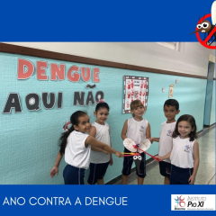 2024-dengue-1ano-pioxi-3