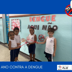 2024-dengue-1ano-pioxi-4