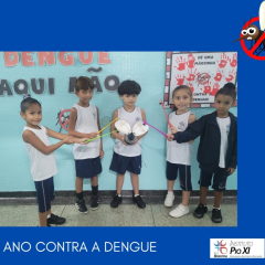 2024-dengue-1ano-pioxi-7