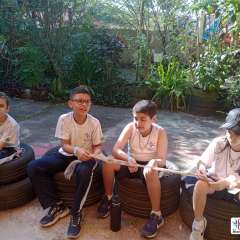 face_dts_fb