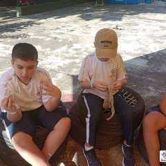 face_dts_fb