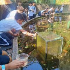 2025-4ano-ecobe-instituto-pioxi-ramos-179
