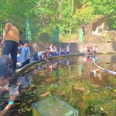 2025-4ano-ecobe-instituto-pioxi-ramos-180