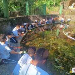 2025-4ano-ecobe-instituto-pioxi-ramos-181
