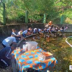 2025-4ano-ecobe-instituto-pioxi-ramos-182
