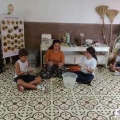 face_dts_fb