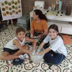 face_dts_fb