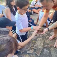 2025-4ano-ecobe-instituto-pioxi-ramos-214
